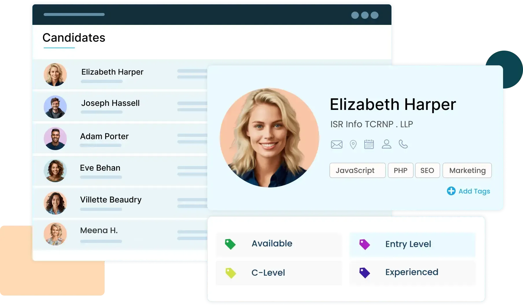 AI Candidate Summary